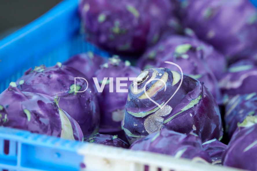 Photo Dominique VIET - Choux raves