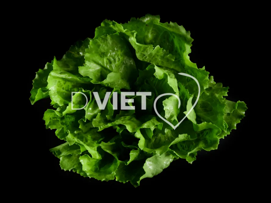 Photo Dominique VIET - Salades