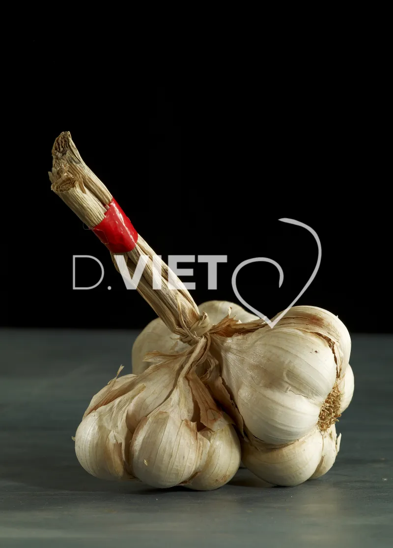 Photo Dominique VIET - Ail