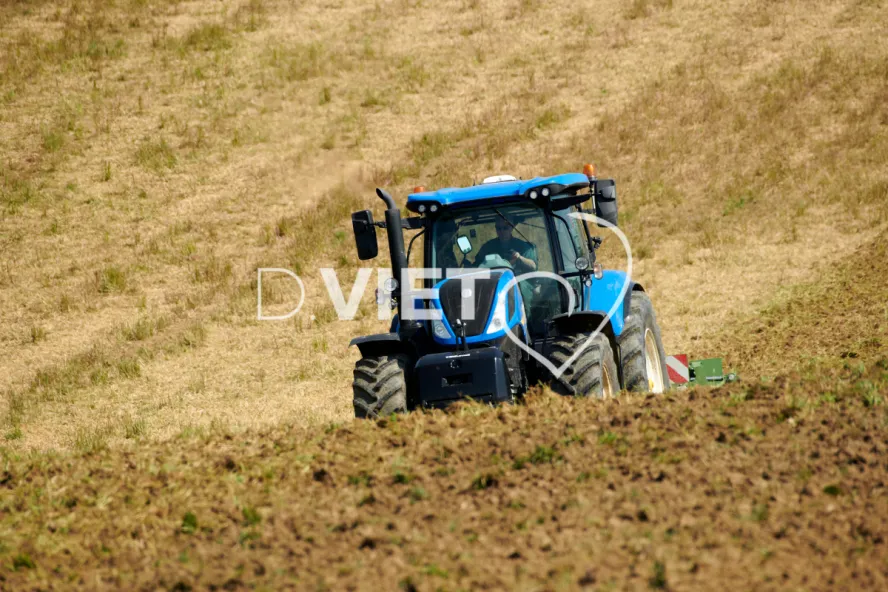 Photo Dominique VIET - Déchaumage préparation pour semis