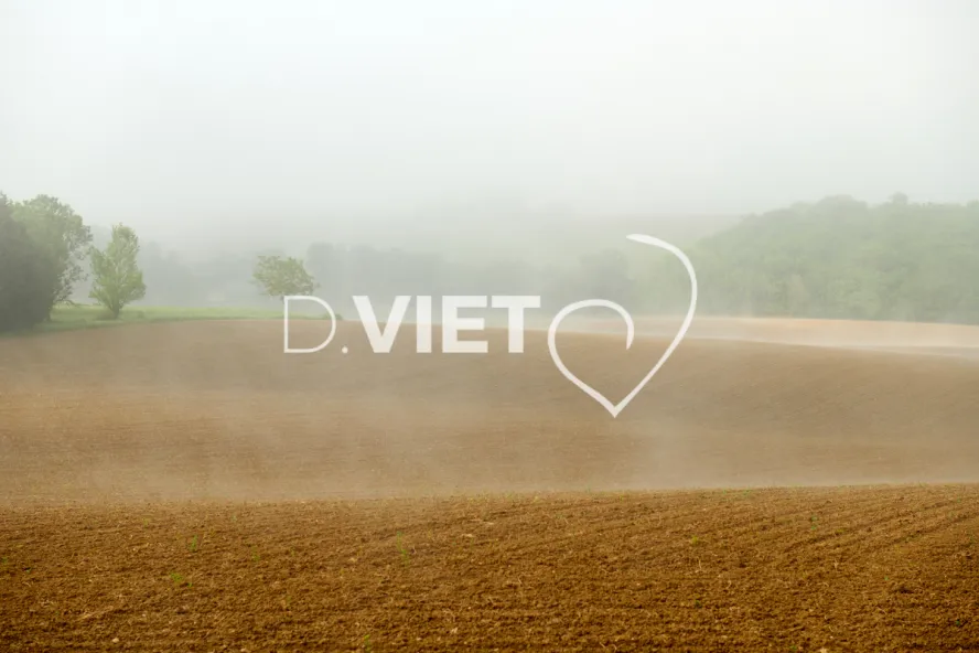 Photo Dominique VIET - Terres semées et fumeroles