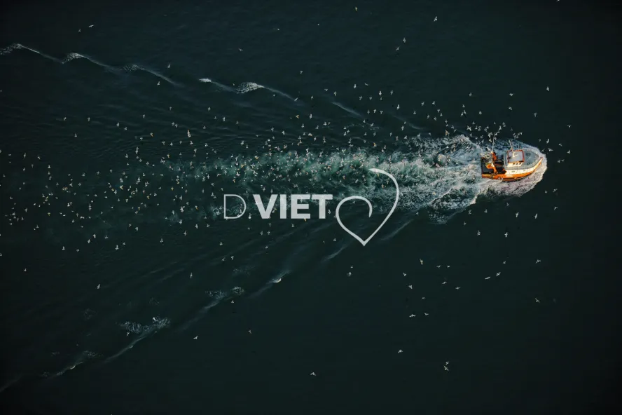 Photo Dominique VIET - Bateau de peche suivi par les mouettes