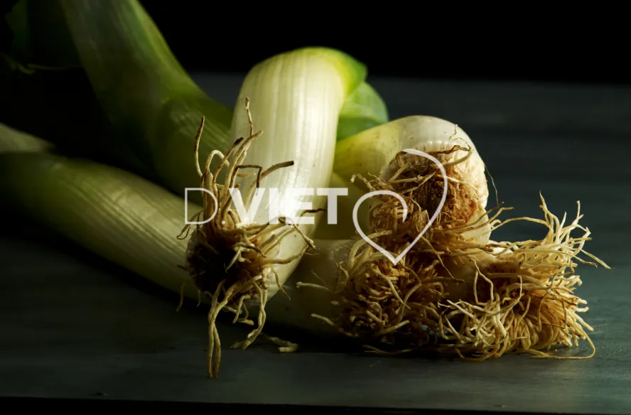 Photo Dominique VIET - Poireaux