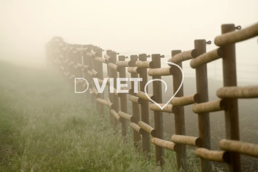 Photo Dominique VIET - Rosée du matin