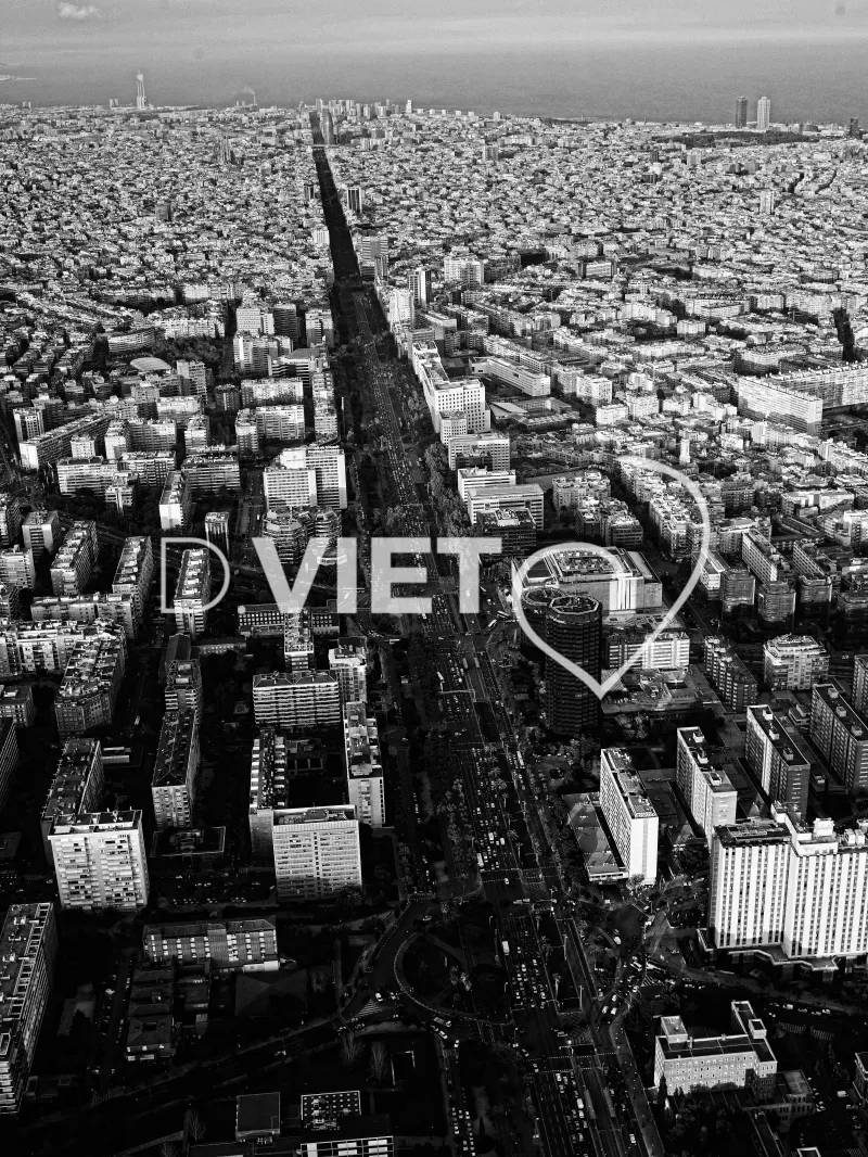 Photo Dominique VIET - Style: Portrait B&W - high key