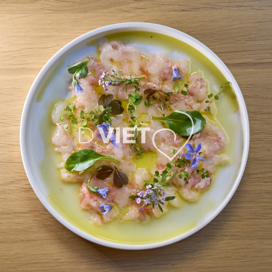 Photo Dominique VIET - Stephane Tournié