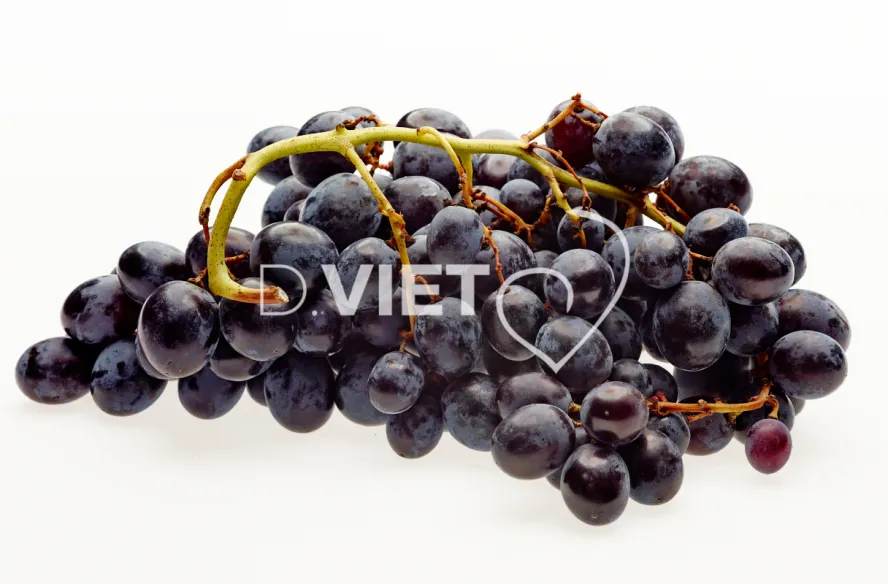 Photo Dominique VIET - Raisins noir