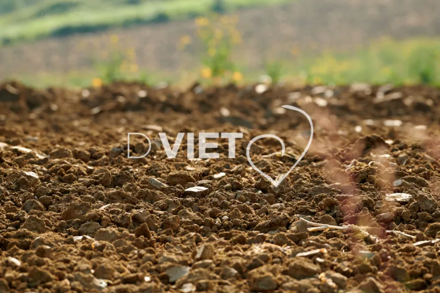 Photo Dominique VIET - Terres préparées