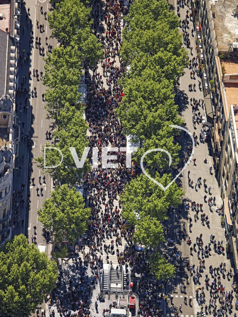 Photo Dominique VIET - Style: PANOBCN