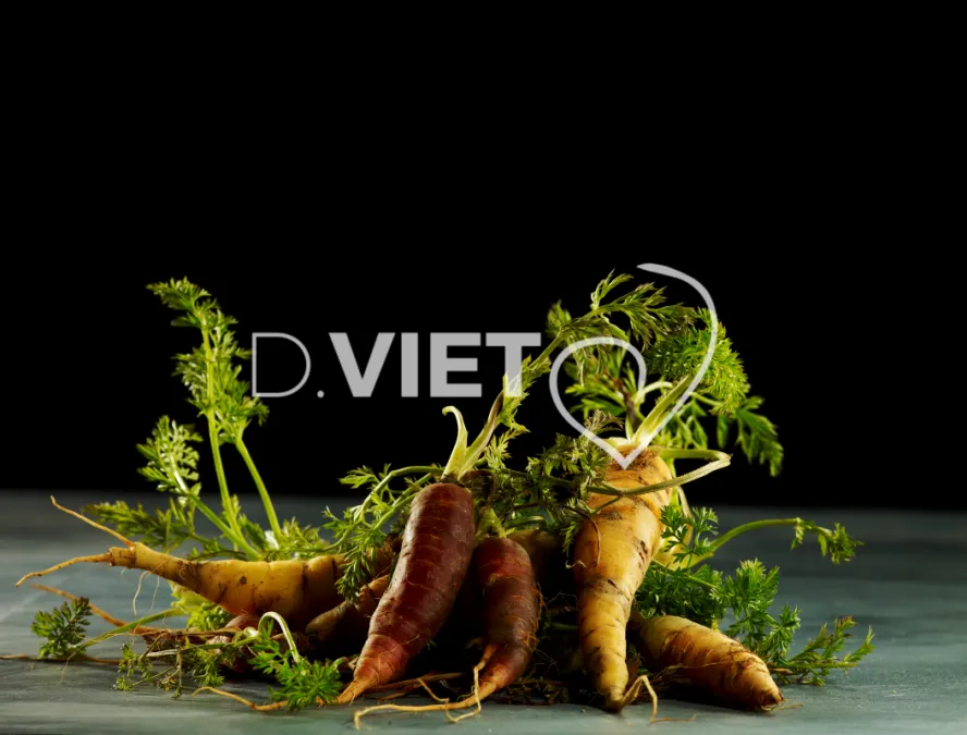 Photo Dominique VIET - VIET_010199