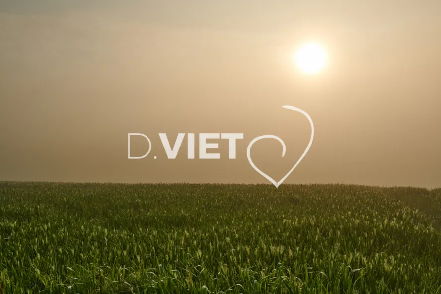 Photo Dominique VIET - Terres semées