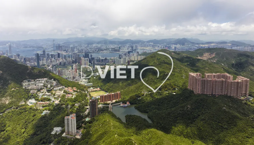 Photo Dominique VIET - VIET_007209