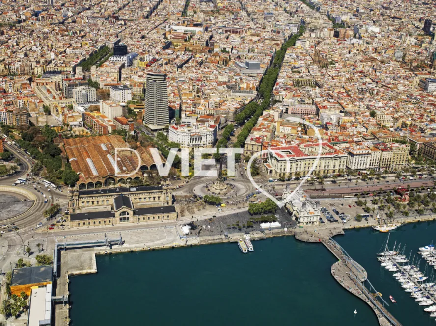 Photo Dominique VIET - VIET_005649