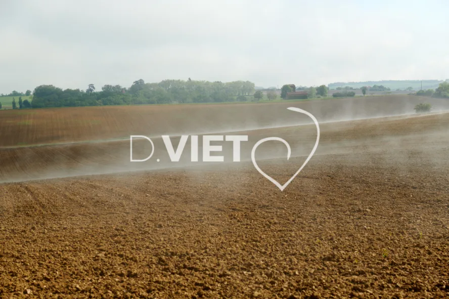 Photo Dominique VIET - Terres semées et fumeroles