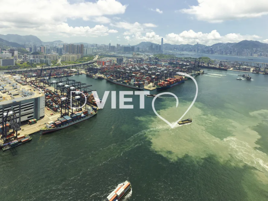 Photo Dominique VIET - VIET_006991