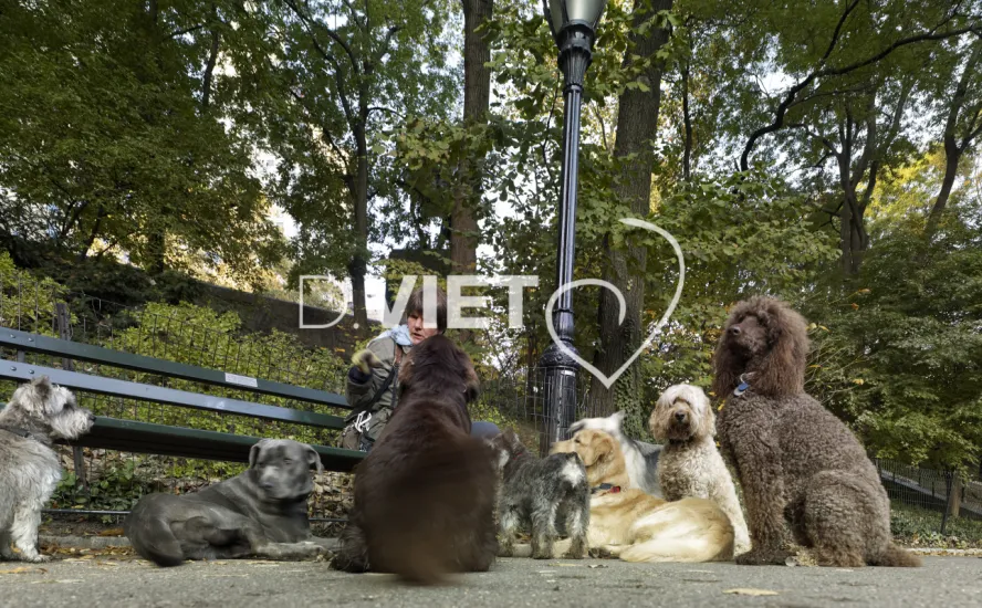 Photo Dominique VIET - VIET_007396