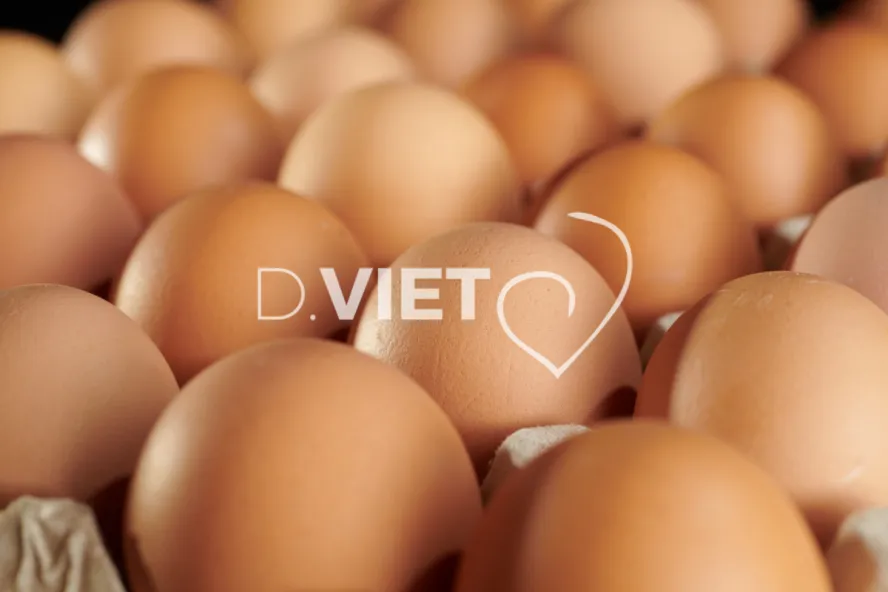 Photo Dominique VIET - Oeufs