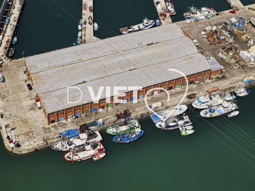 Photo Dominique VIET - VIET_005650