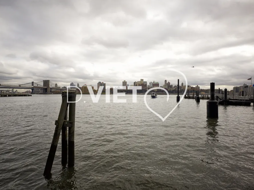 Photo Dominique VIET - VIET_007356