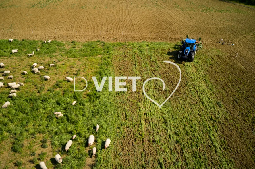 Photo Dominique VIET - Déchaumage préparation pour semis