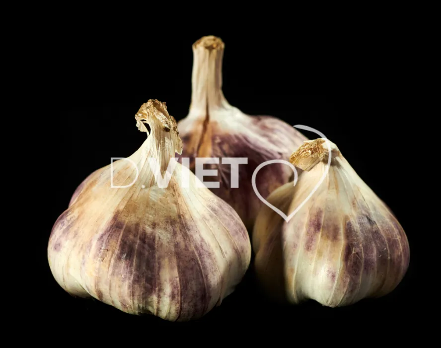 Photo Dominique VIET - Ail