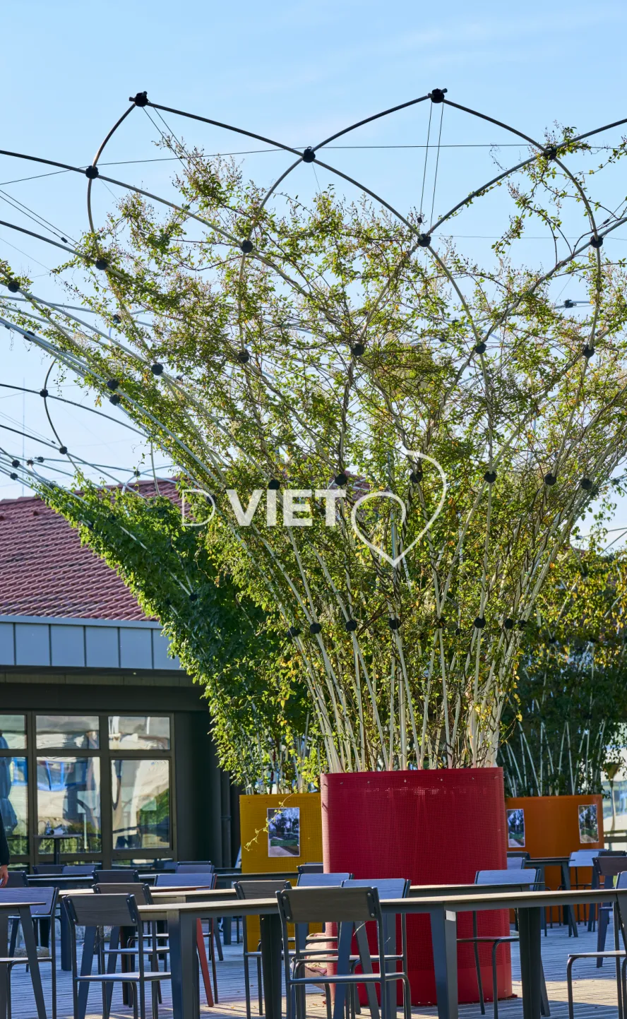 Photo Dominique VIET - CANOPEE