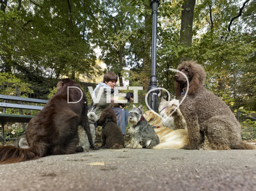 Photo Dominique VIET - VIET_007397