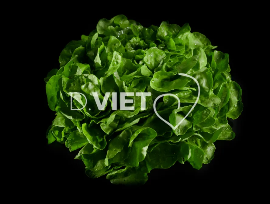 Photo Dominique VIET - Salades