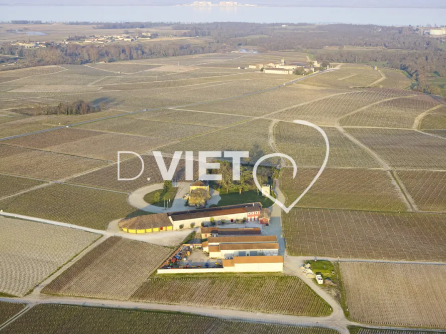 Photo Dominique VIET - Chateau lafon Rochet Medoc