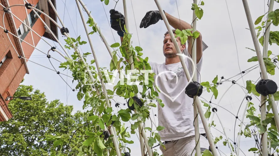 Photo Dominique VIET - CANOPEE