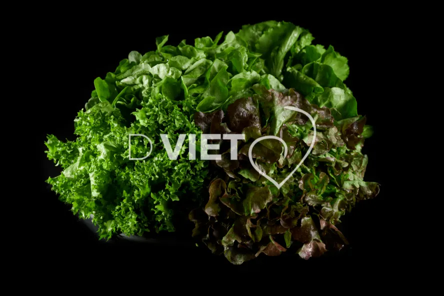 Photo Dominique VIET - Salades