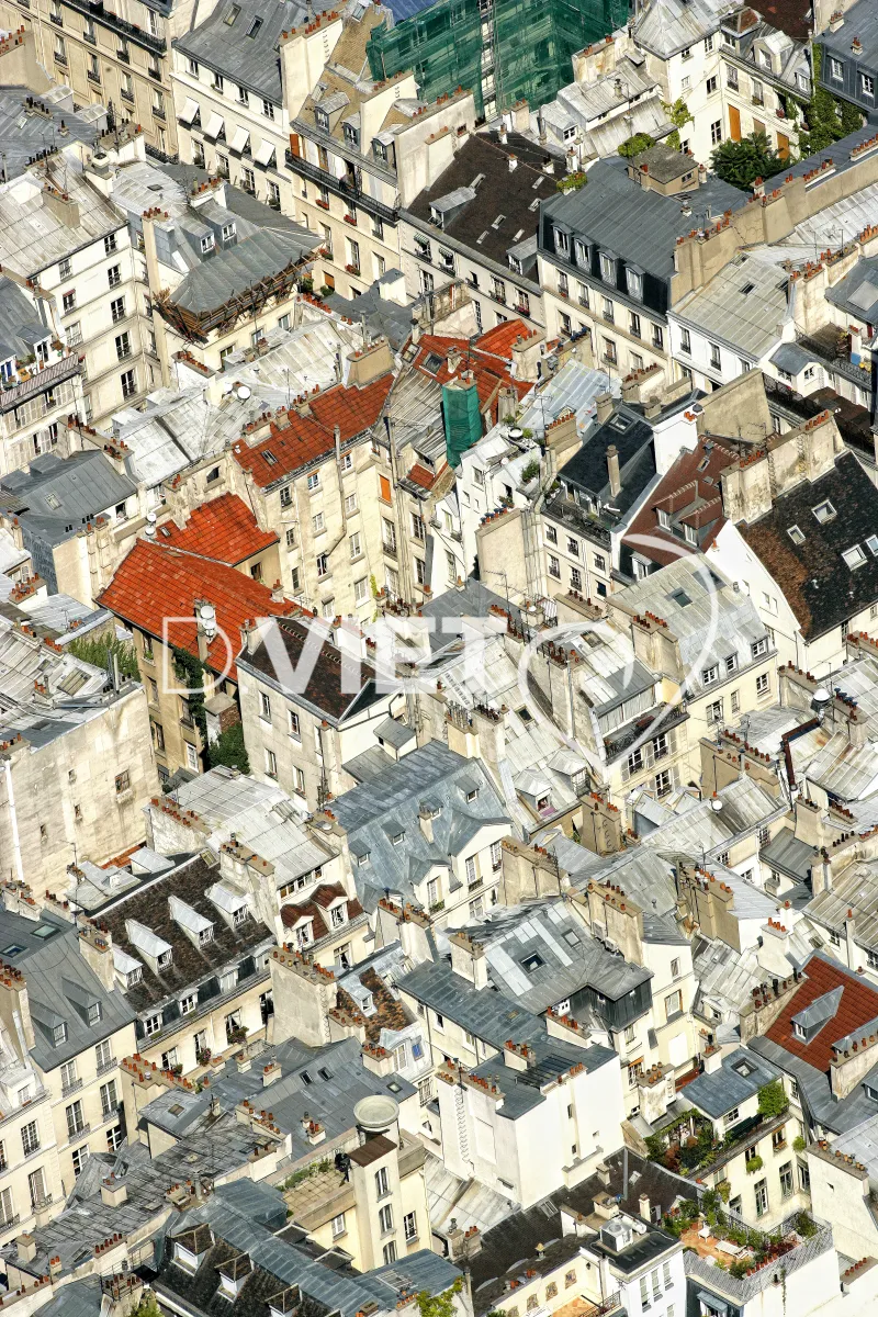 Photo Dominique VIET - VIET_005273