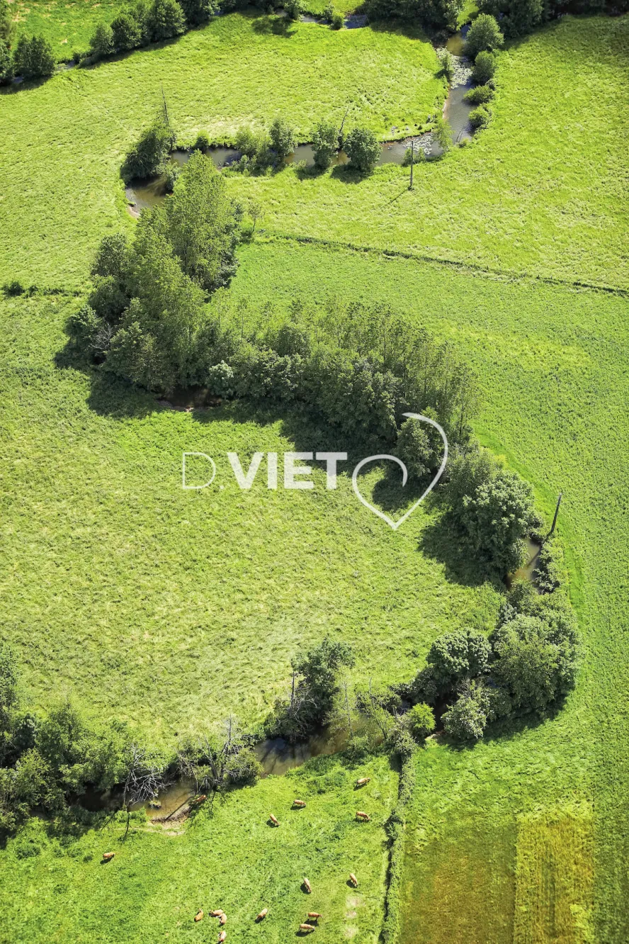 Photo Dominique VIET - bocage