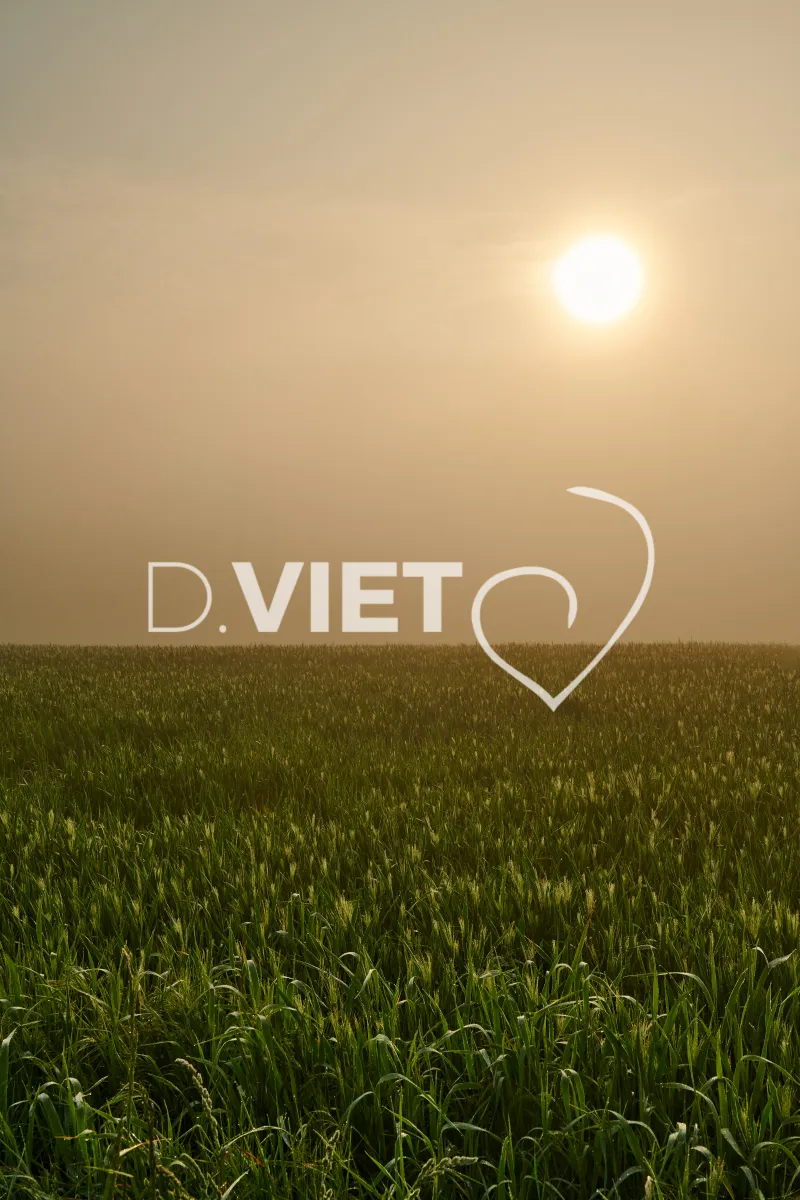 Photo Dominique VIET - Terres semées