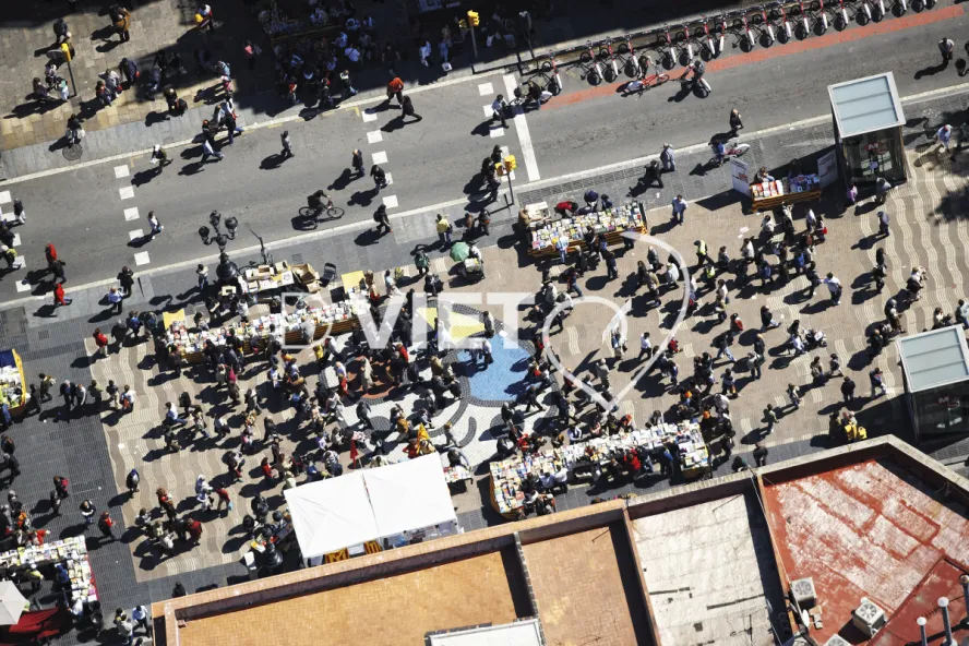 Photo Dominique VIET - VIET_005678