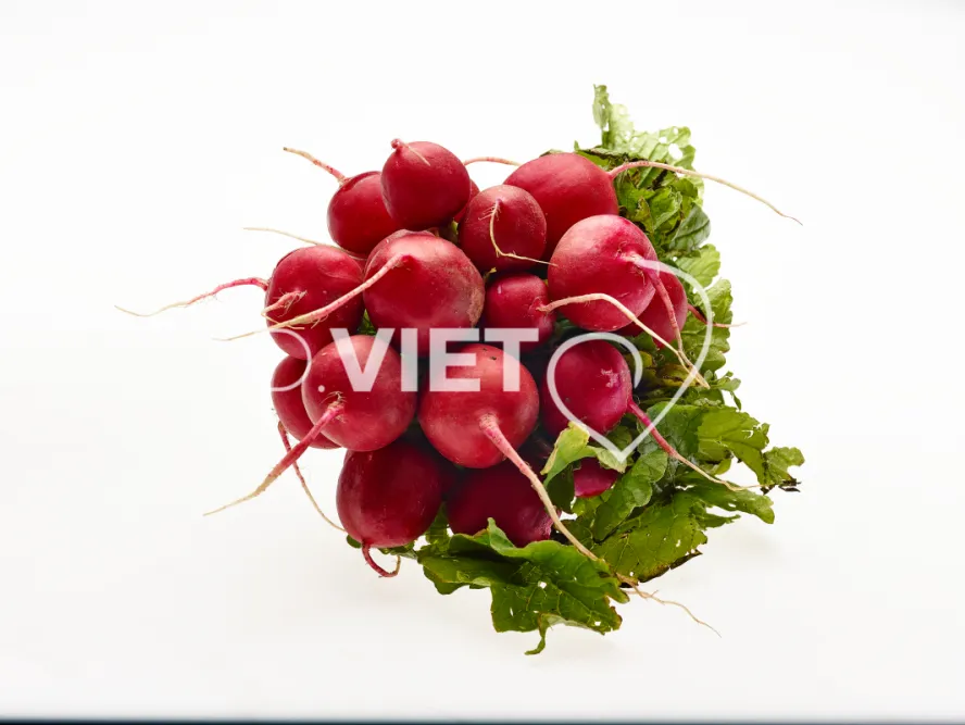 Photo Dominique VIET - Radis