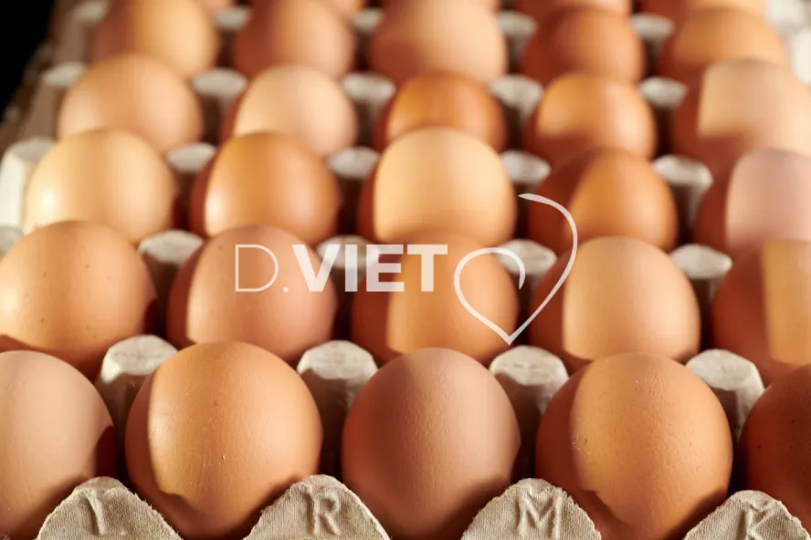 Photo Dominique VIET - Oeufs