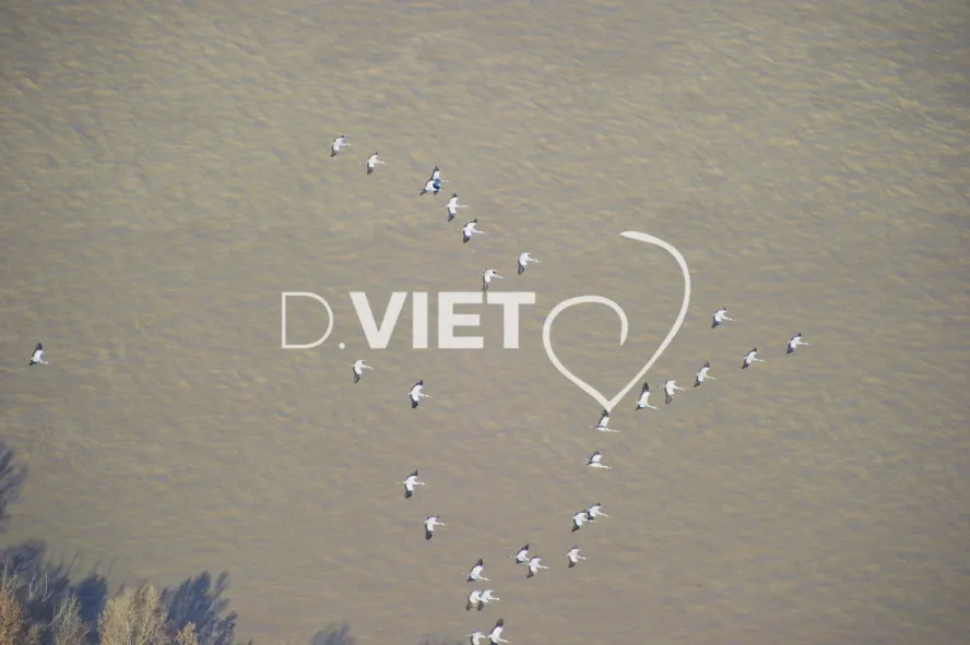 Photo Dominique VIET - VIET_006437