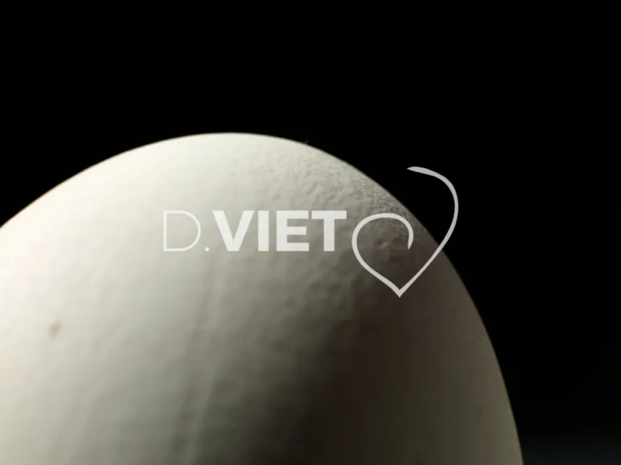 Photo Dominique VIET - Oeufs d'oies