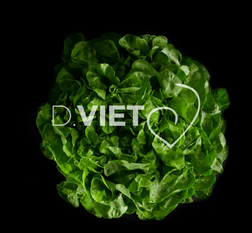 Photo Dominique VIET - Salades