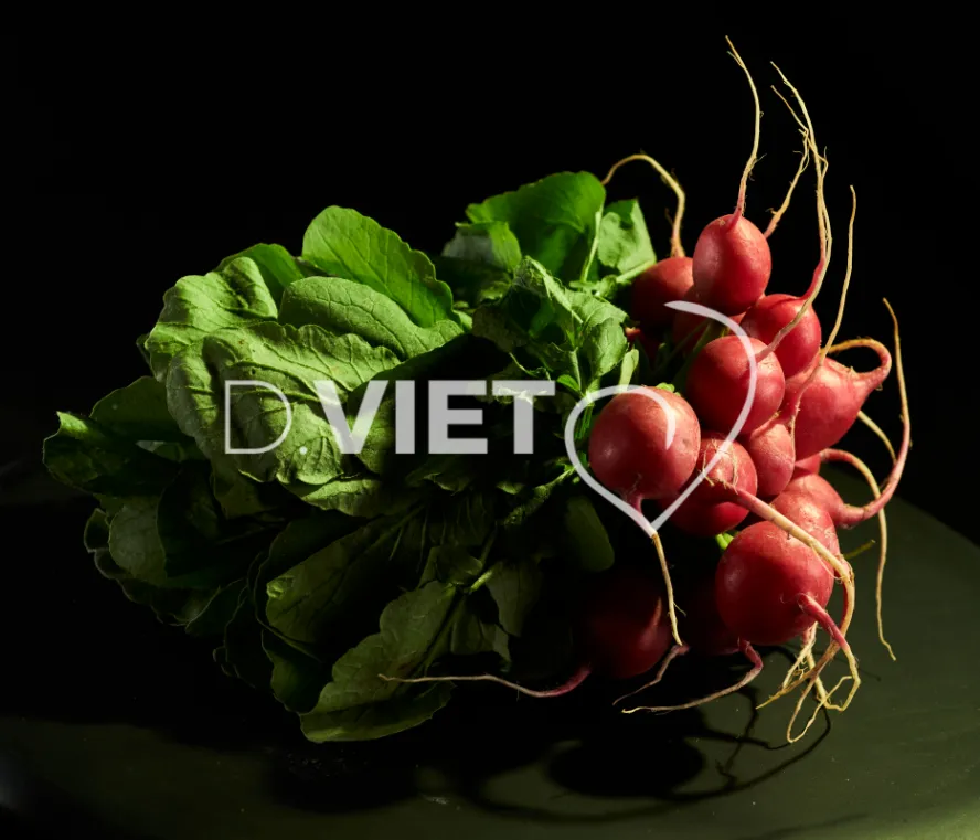 Photo Dominique VIET - Radis