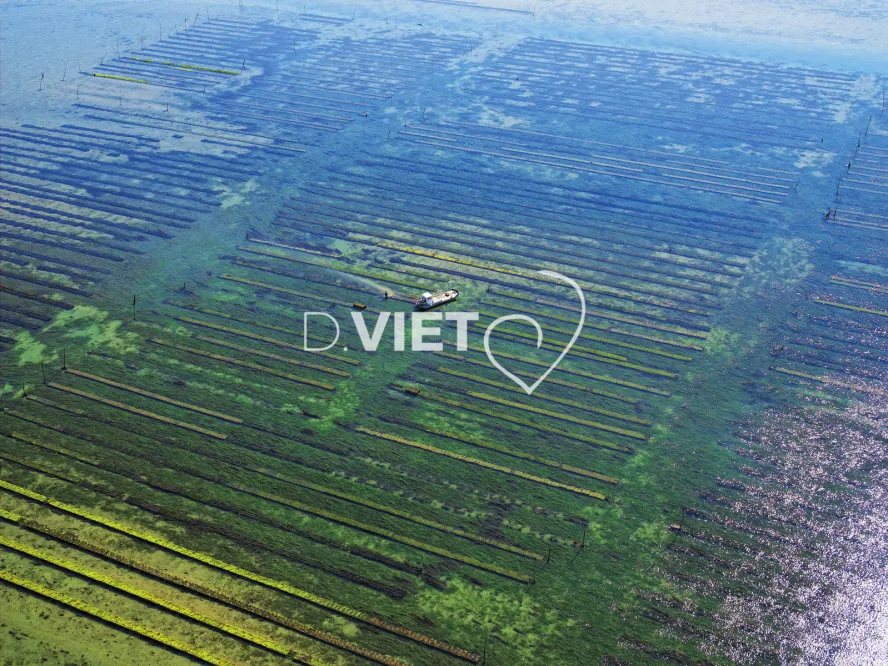 Photo Dominique VIET - parc a huitres