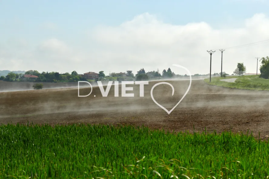 Photo Dominique VIET - Terres semées et fumeroles