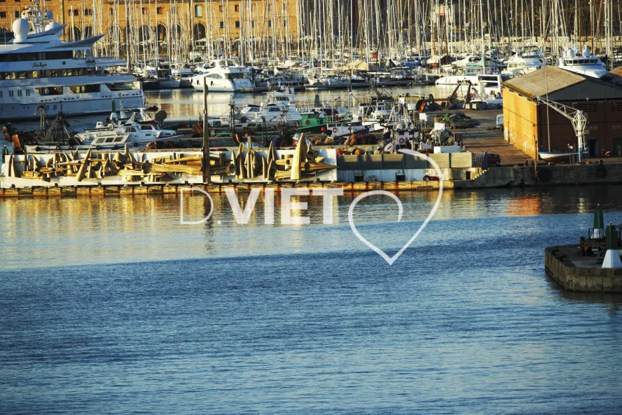 Photo Dominique VIET - Style: PANOBCN