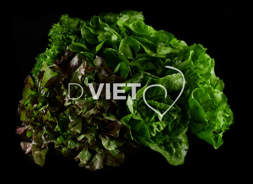 Photo Dominique VIET - Salades