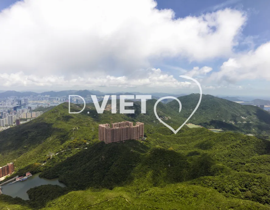 Photo Dominique VIET - VIET_007208