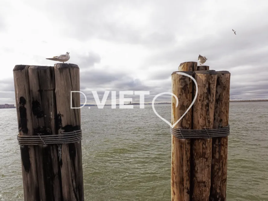 Photo Dominique VIET - VIET_007348