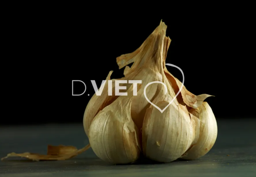 Photo Dominique VIET - VIET_010203