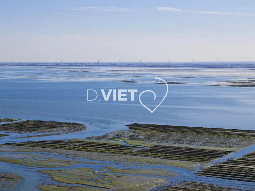 Photo Dominique VIET - passage du gois eolienne Polder du dain