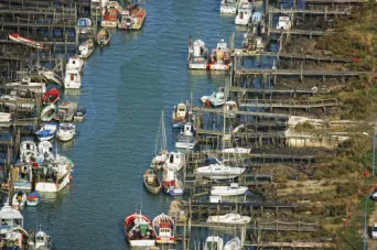 Photo Dominique VIET - port du bec